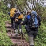 Lemosho Route 8 Days Kilimanjaro Climbing Tour - What Sets This Tour Apart?