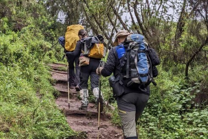 Lemosho Route 8 Days Kilimanjaro Climbing Tour - What Sets This Tour Apart?