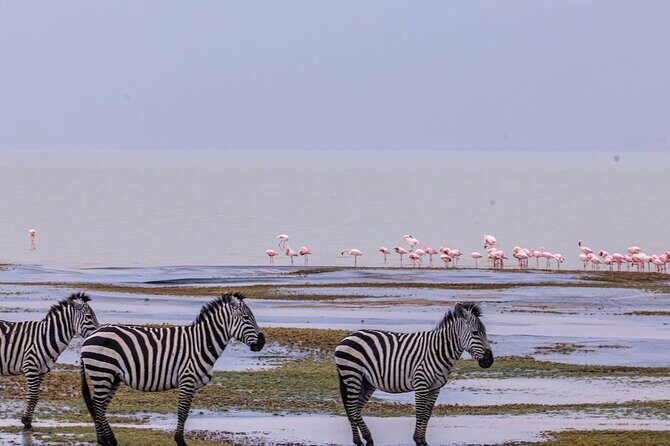 Leopard Luxury Safari in Tanzania - Breaking down the itinerary