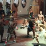 Lesedi cultural village half day tour - Final Thoughts on Value and Suitability