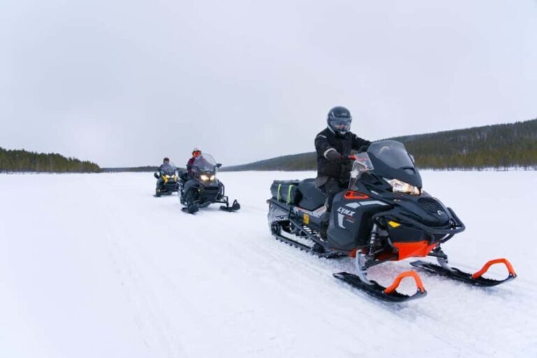 Levi: 2-Hour Snowmobile Safari Led by Local Guides - The Route and Scenic Highlights