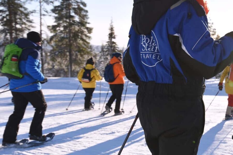 Levi: Gentle Snowshoe Walk in Winter Wilderness - The Itinerary and What You’ll Experience