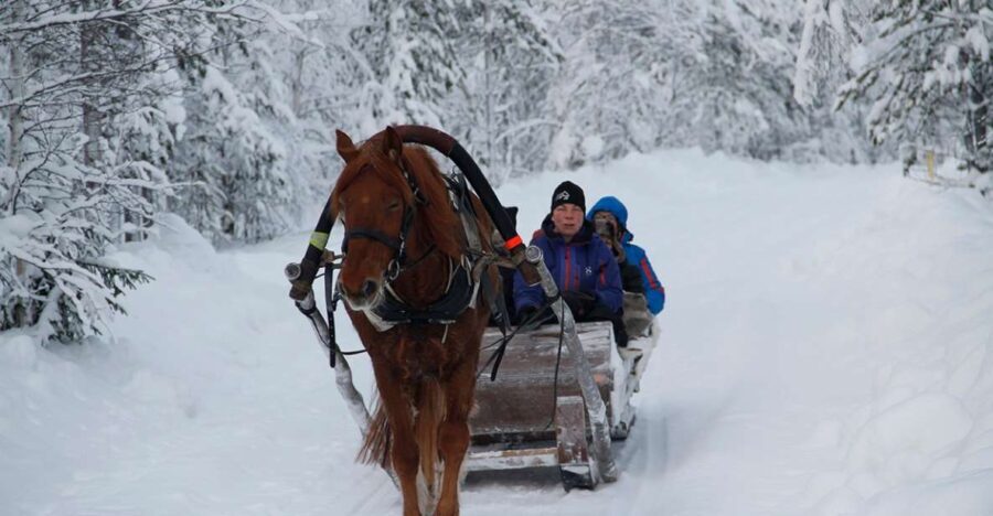 Levi: One Horse Open Sleigh Ride - The Sum Up