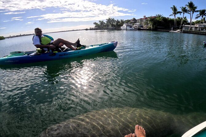 Lido Key Pedal Kayak Tour in Sarasota - What Makes This Tour Worth It?