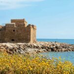 Limassol: Private Tour to Paphos - The Value of This Tour