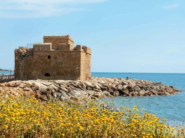 Limassol: Private Tour to Paphos - The Value of This Tour