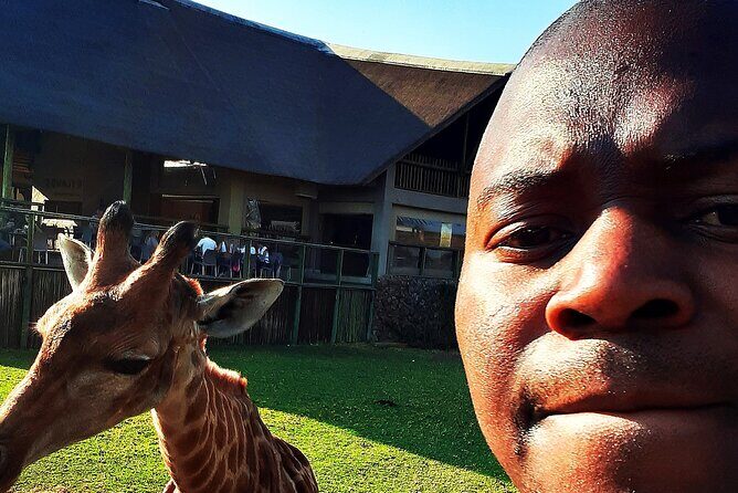 Lion safari park tour(Half-day) - The Practical Aspects
