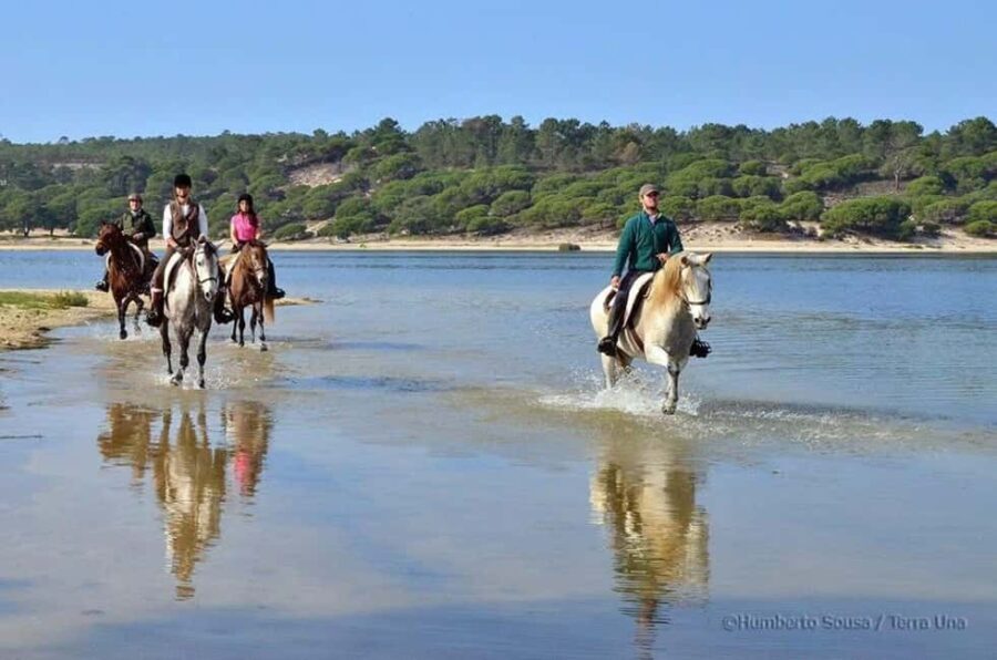 Lisbon: Horse Riding at the Beach with Lunch - What to Expect During the Ride