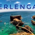 Lisbon: Peniche, Berlenga & Mafra Palace Private Day Trip - Who is This Tour Best For?