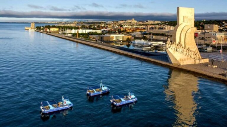 Lisbon: Private Luxury Tour to Belém, Cristo Rei and Alfama. - An In-Depth Look at the Tour Experience