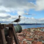 Lisbon: São Jorge Castle Skip-the-Line Ticket & Guided Tour - Exploring the Itinerary and Highlights