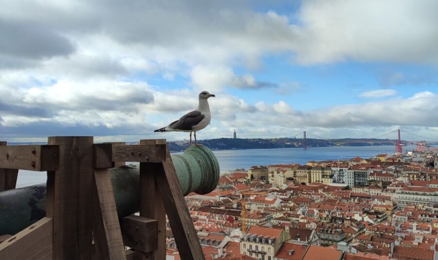 Lisbon: São Jorge Castle Skip-the-Line Ticket & Guided Tour - Exploring the Itinerary and Highlights