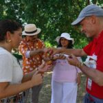 Lisbon: Small Group Half-Day City Tour & Belém Sites - Practical Details and What to Expect