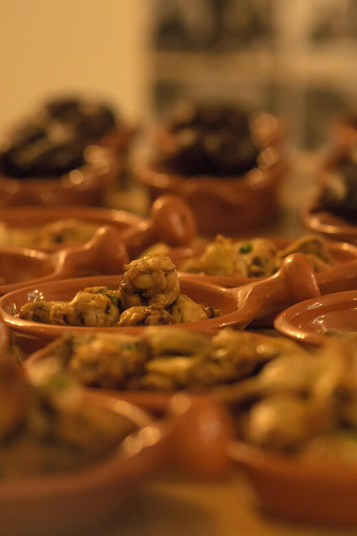 Lisbon: Tapas & Drinks with Fado Live Performance - Final Thoughts on Suitability