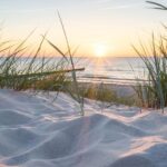 Lisse: Self-Drive Electric Car Dune and Beach Audio Tour - Who Should Consider This Experience