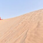 Liwa Full Day Desert Safari from Abu Dhabi - The Value of This Tour