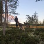 Ljørdalen - Trysil: Husky Hike with Campfire and lunch! - Authenticity and Guides