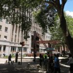 LocalPlaces Understanding Johannesburg Walking Tour - Practical Details and What You Need to Know