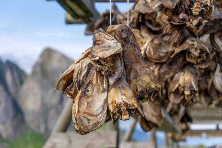 Lofoten: Hamnøy & Reine Private Photo Tour - What Makes This Tour Stand Out?