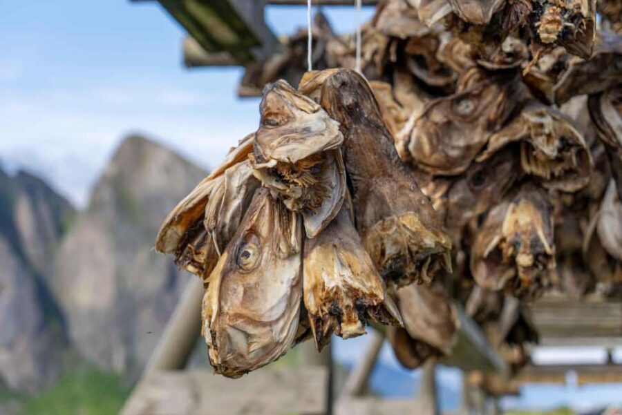 Lofoten: Hamnøy & Reine Private Photo Tour - What Makes This Tour Stand Out?