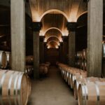 Logroño: Guided visit with tasting of 3 wines and appetizer at Viña Ijalba. - The Wines and Tasting Experience