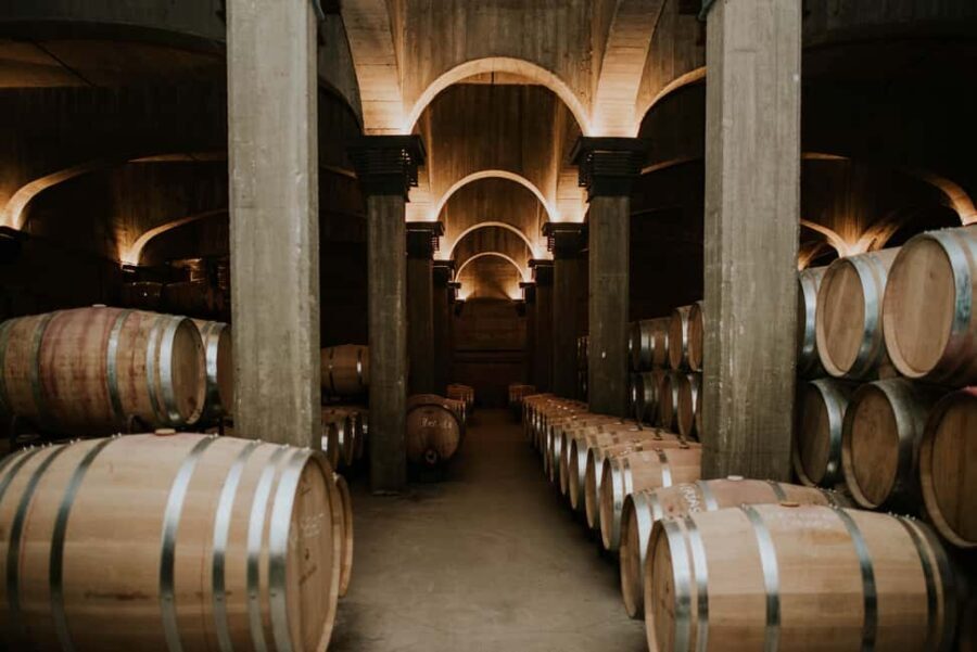 Logroño: Guided visit with tasting of 3 wines and appetizer at Viña Ijalba. - The Wines and Tasting Experience