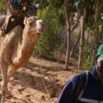 Lompoul desert - Key Points