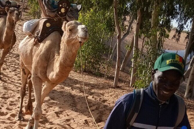 Lompoul desert - Key Points