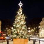 London: Christmas Lights Tour, Mince Pies, & Festive Drinks - The Sum Up: Is This Tour Worth It?