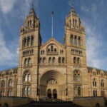 London: Natural History Museum + Guided Tour+ Priority Entry - Practical Tips for Your Visit