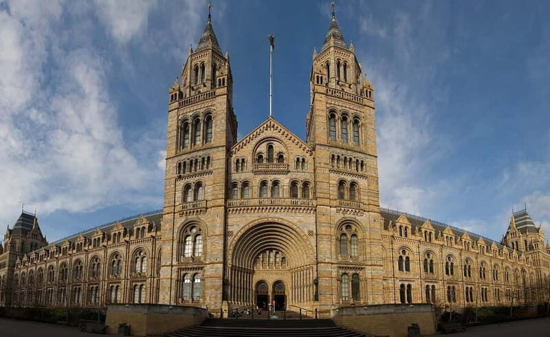 London: Natural History Museum + Guided Tour+ Priority Entry - Practical Tips for Your Visit