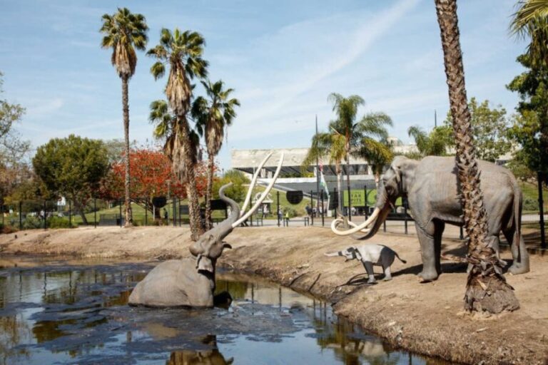 Los Angeles: La Brea Tar Pits Museum Ticket - What Travelers Say: Insights from the Reviews