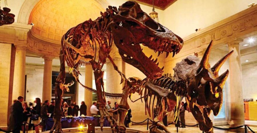 Los Angeles: Natural History Museum of LA Entry Ticket - Authentic Visitor Experiences and Insights