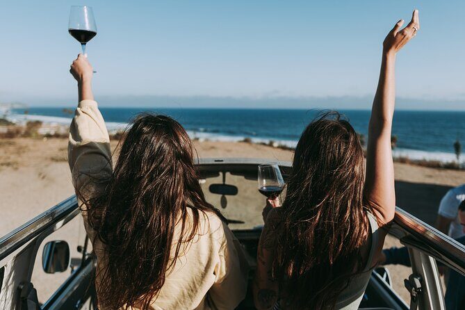 Los Angeles: Private Vintage VW Bus Tour in Malibu - Authentic Traveler Insights