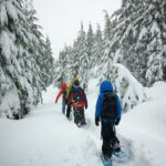 Lucerne: Snowshoe Hiking Adventure to Glaubenberg Langis - What to Expect at Glaubenberg