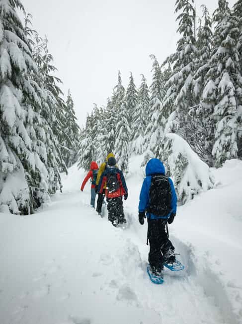 Lucerne: Snowshoe Hiking Adventure to Glaubenberg Langis - What to Expect at Glaubenberg
