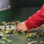 Lucinasco: a journey through flavors and traditions. Guided visit to the village. - The Practicalities: How the Tour Works