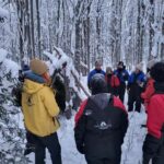 Lulea: Nordic Skills and Bivouac Building with Lunch - What Is Included and Important to Know