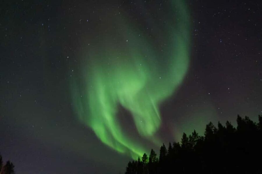 Lulea: Northern Lights Hunt by Car with Transfer - The Itinerary and What You Can Expect