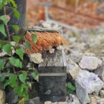 Luosto: Private Amethyst Mine Tour with Arctic Guide - Scenic Hike and Stunning Views
