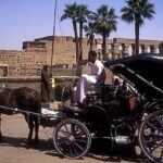 Luxor City Tour By Horse Carriage in Egypt - Why This Tour Offers Value