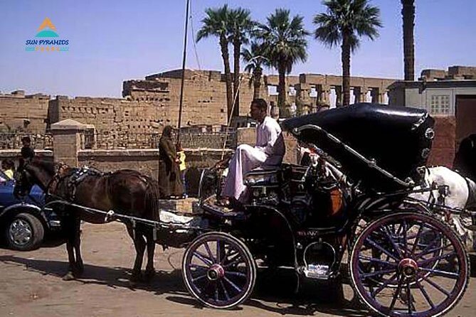 Luxor City Tour By Horse Carriage in Egypt - Why This Tour Offers Value