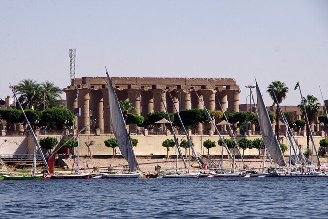 Luxor City Tour By Horse Carriage - Practical considerations