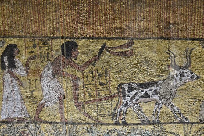 Luxor Dendera tour with a felucca from Hurghada by a private car - Who Will Love This Tour?
