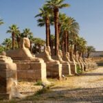 Luxor Private day tour from Makadi with Private Tour guide - The Journey Begins: Pickup and Early Start