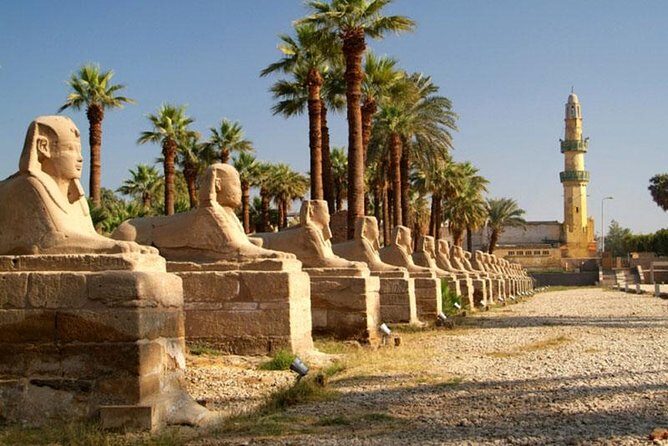 Luxor Private day tour from Makadi with Private Tour guide - The Journey Begins: Pickup and Early Start