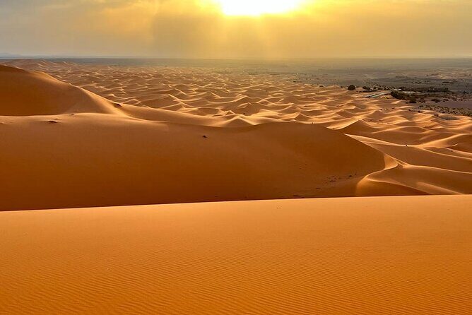 luxury 3 Days 2 Nights Desert Tour from Fez to Marrakesh - Authentic Insights from Travelers