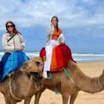 luxury 4 Hour Private Tour of Tangier - Value and Practicalities