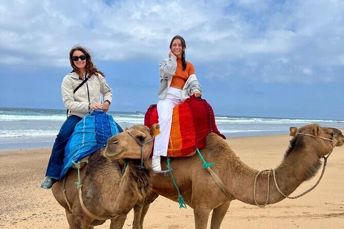 luxury 4 Hour Private Tour of Tangier - Value and Practicalities