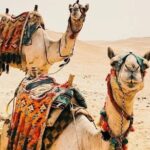 Luxury 5 Days Desert Tour From Marrakech 2025 - Analyzing the Itinerary: What to Expect